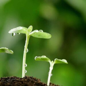 Олимпиада биология пәні бойынша республикалық